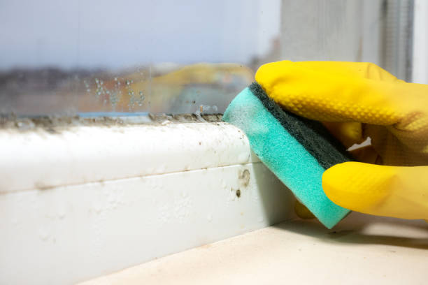 Best Professional Mold Removal  in Indnola, IA
